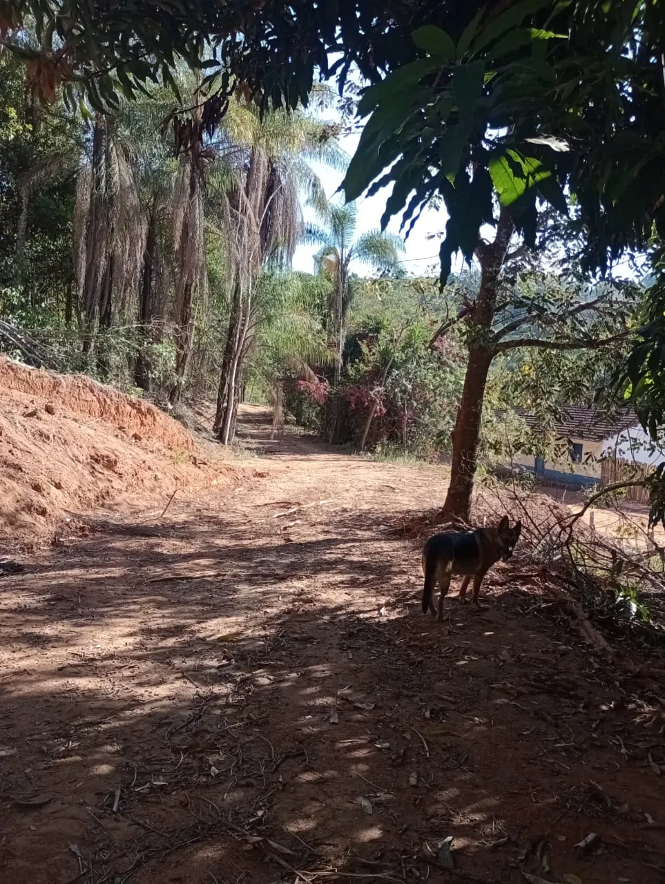 Sítio à venda e para Arrendar de 2.033 ha em Poços de Caldas, MG, Brasil