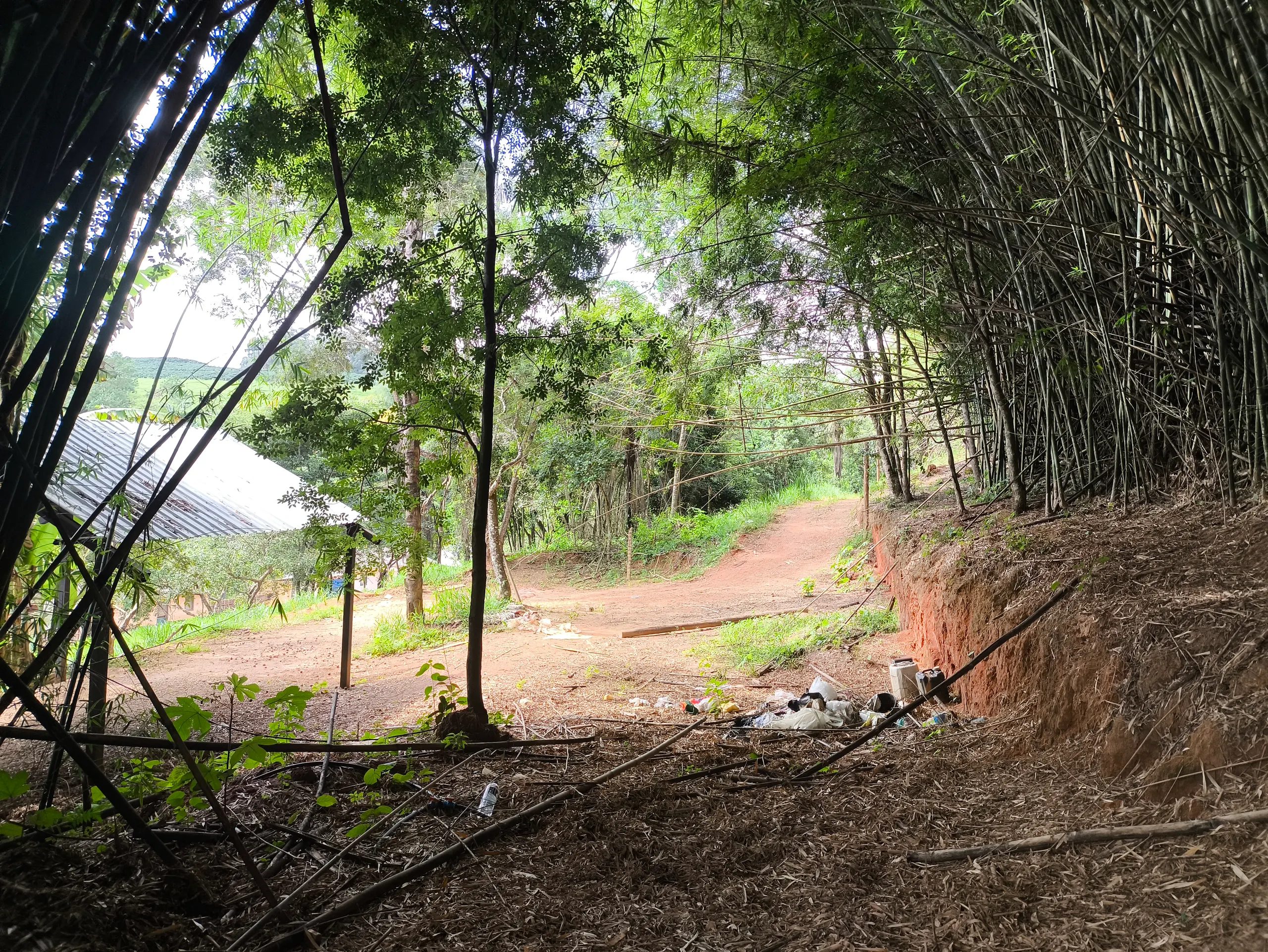Sítio à venda e para Arrendar de 2.033 ha em Poços de Caldas, MG, Brasil