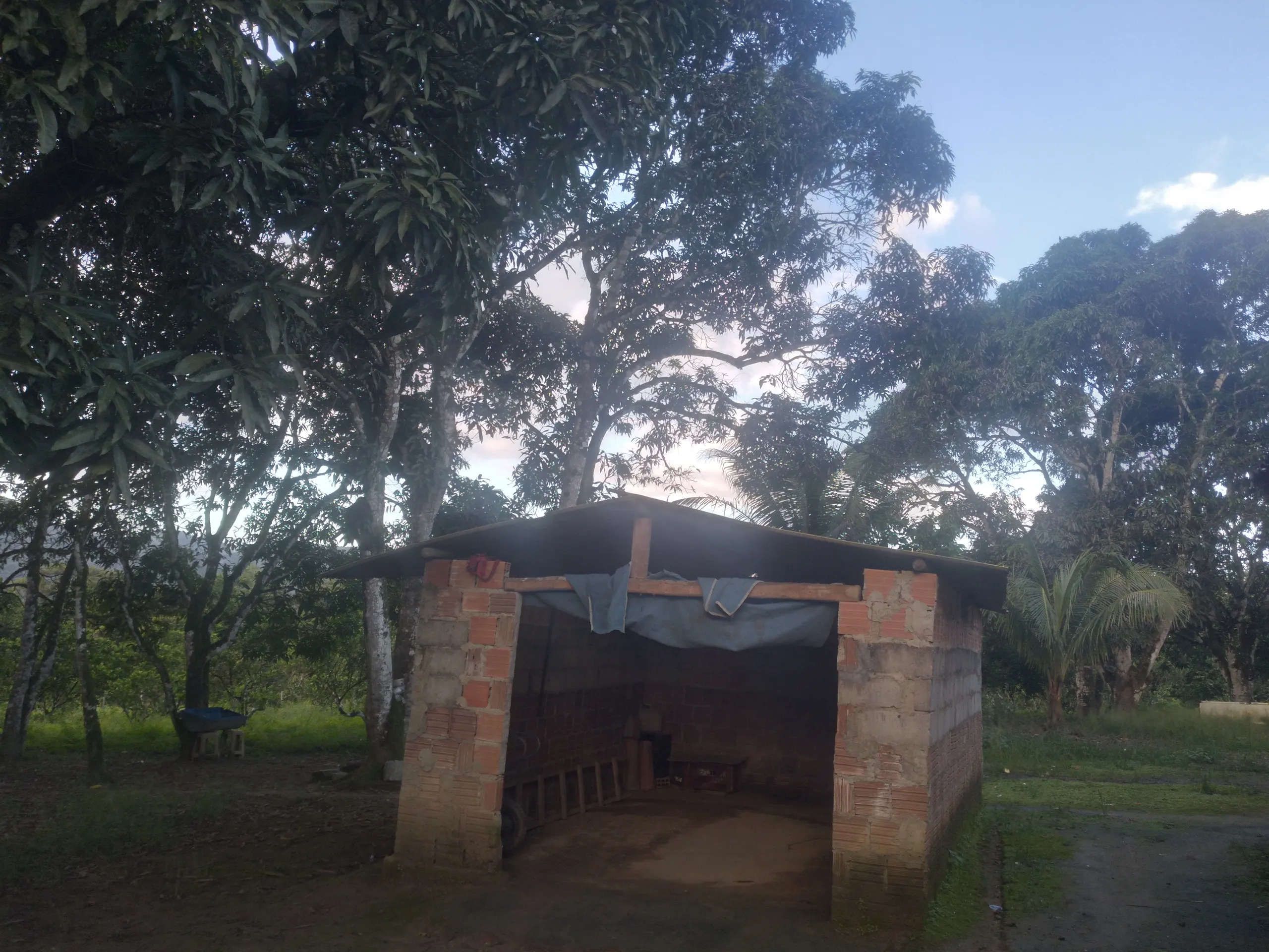 Small farm for sale of 15 acres in Branquinha, AL, Brazil