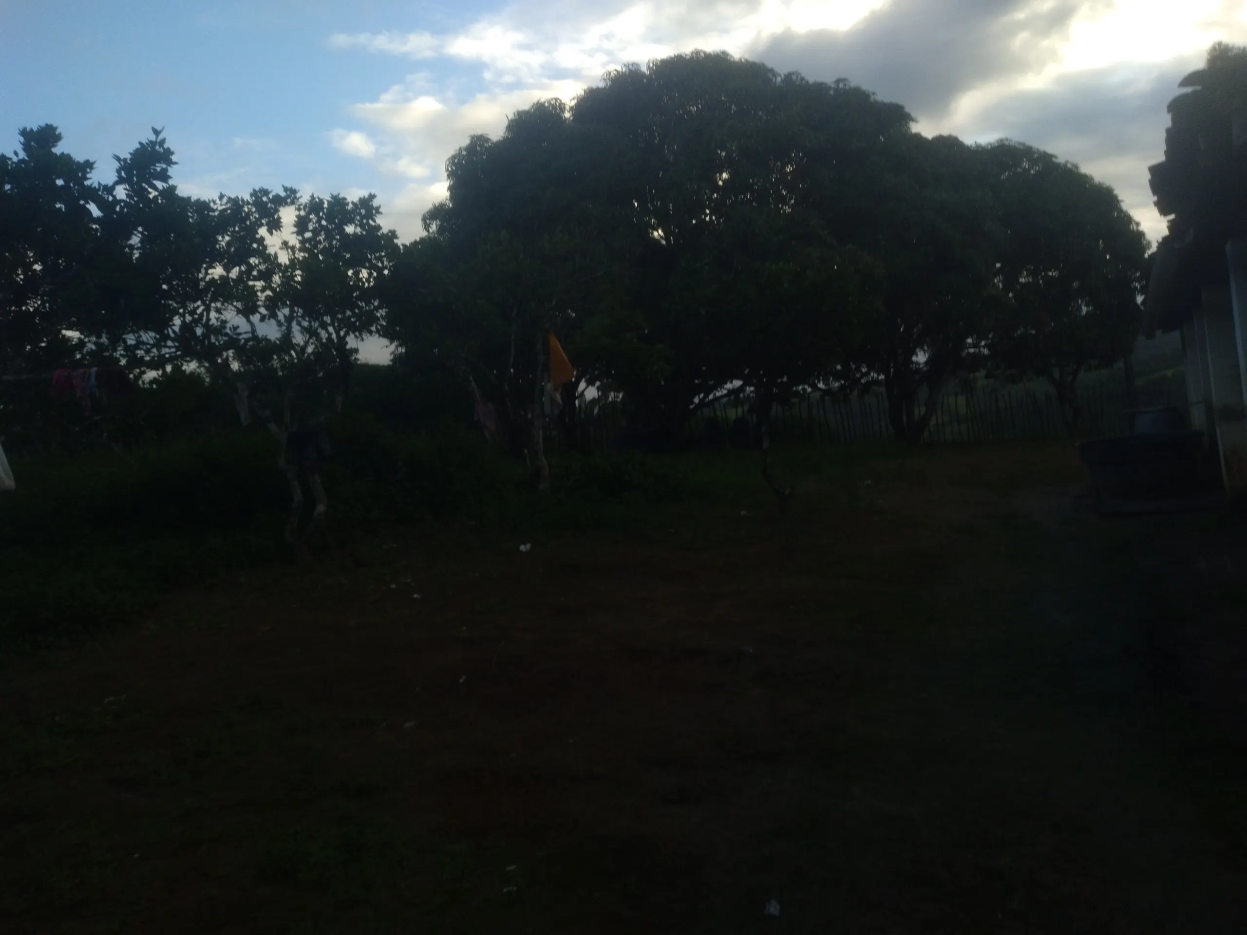 Small farm for sale of 15 acres in Branquinha, AL, Brazil