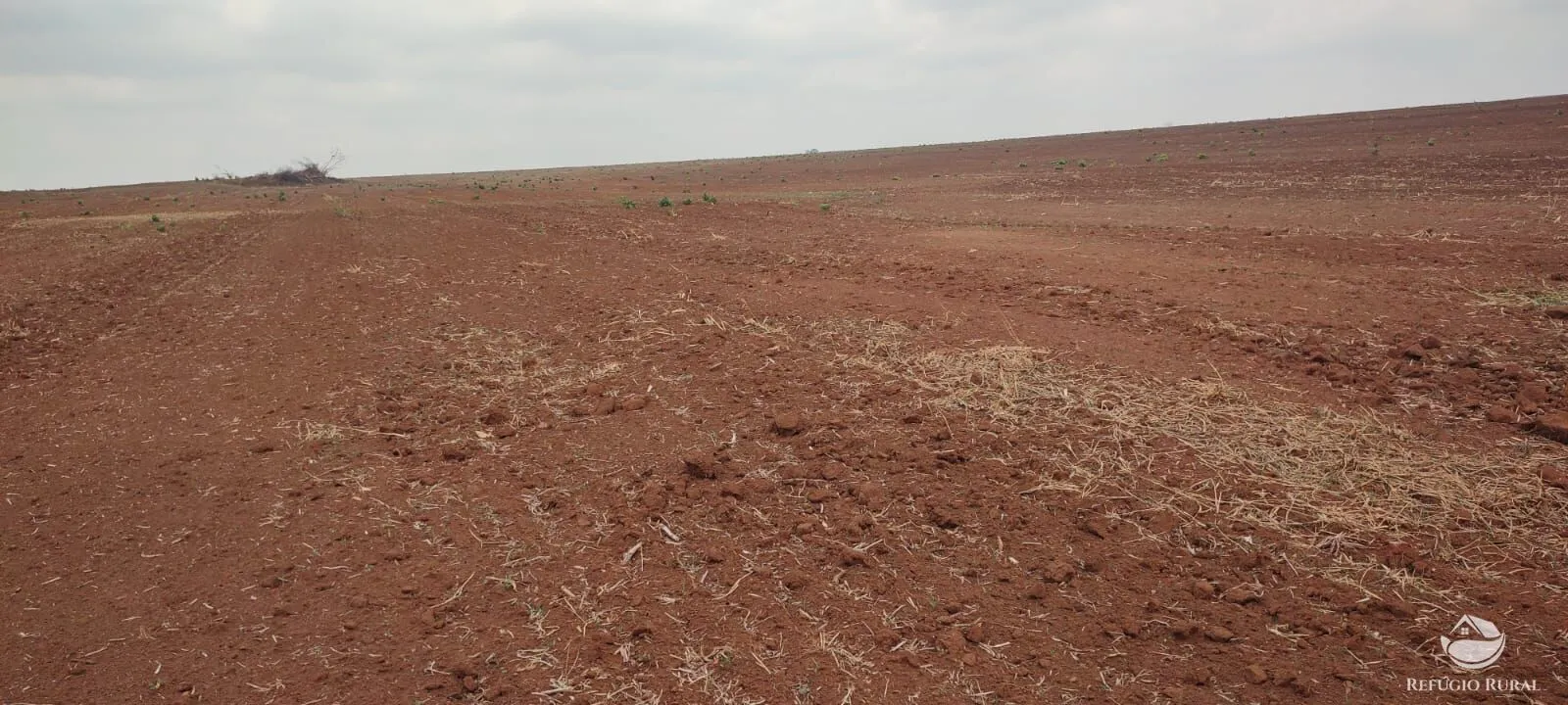 Fazenda à venda de 3.204 ha em Araguaína, TO, Brasil