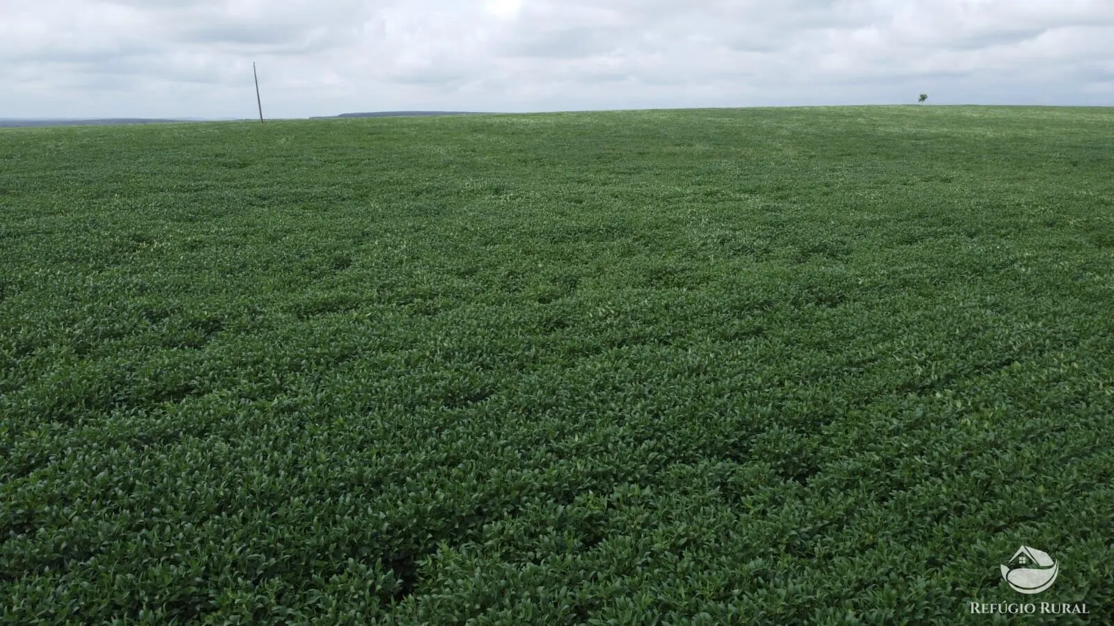 Fazenda à venda de 3.204 ha em Araguaína, TO, Brasil