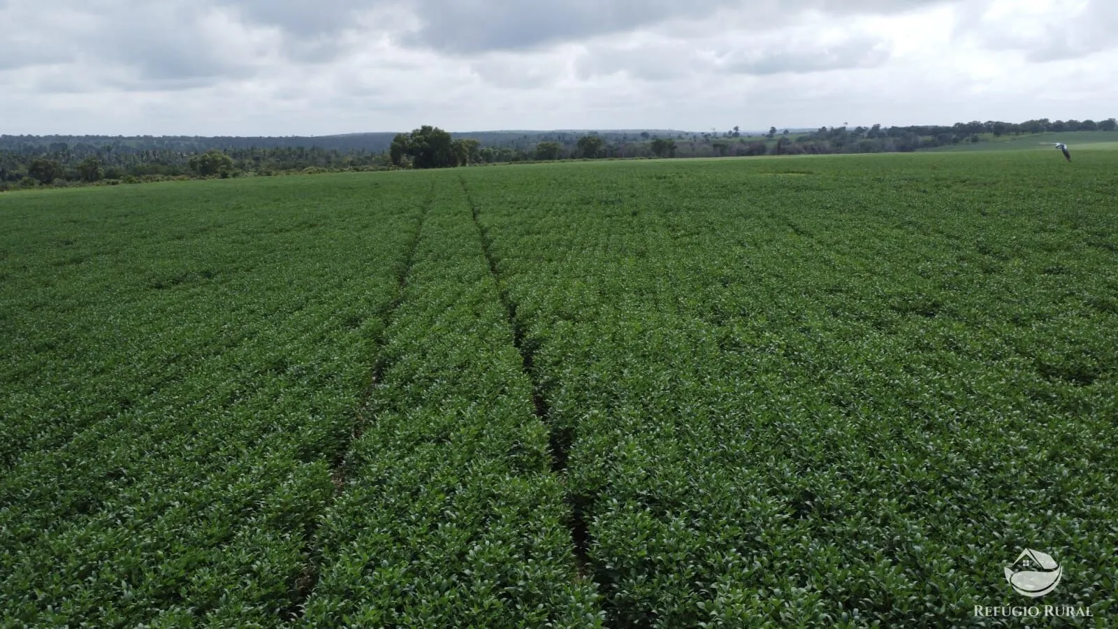Fazenda à venda de 3.204 ha em Araguaína, TO, Brasil