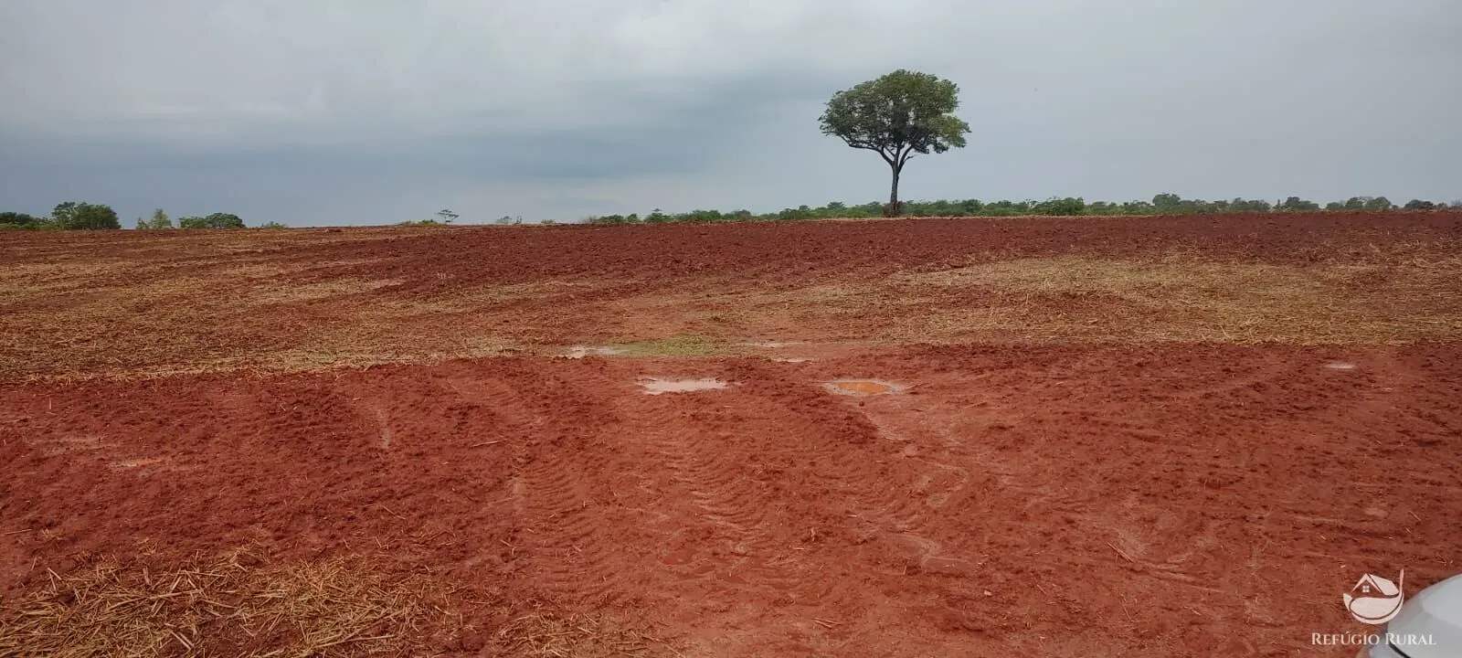 Fazenda à venda de 3.204 ha em Araguaína, TO, Brasil