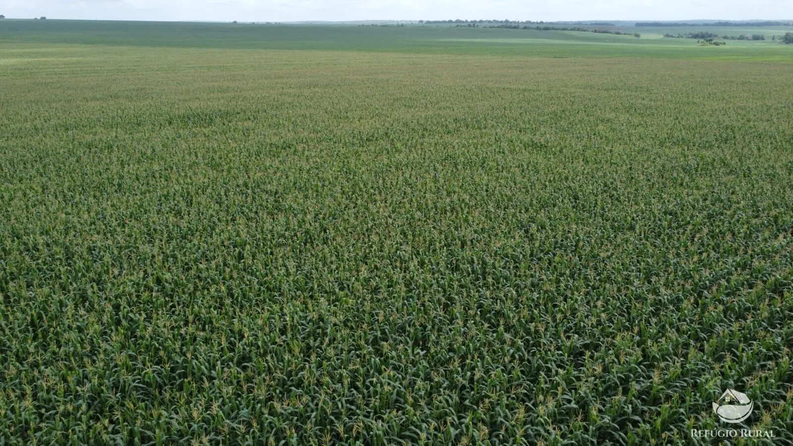 Fazenda à venda de 3.204 ha em Araguaína, TO, Brasil