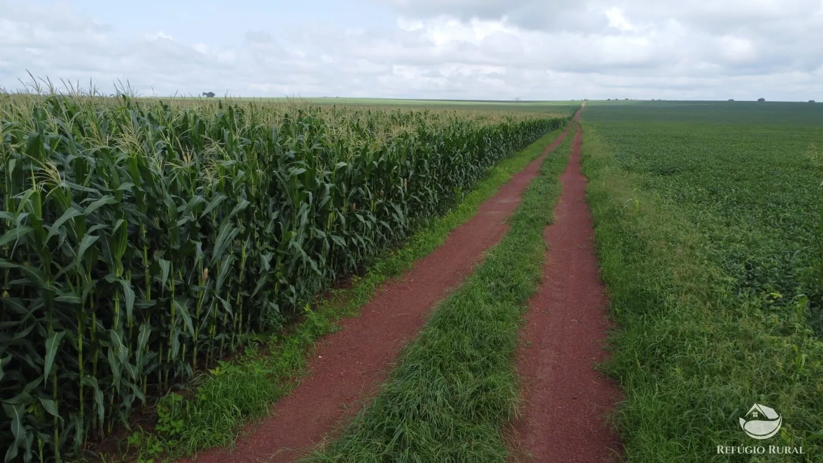 Fazenda à venda de 3.204 ha em Araguaína, TO, Brasil