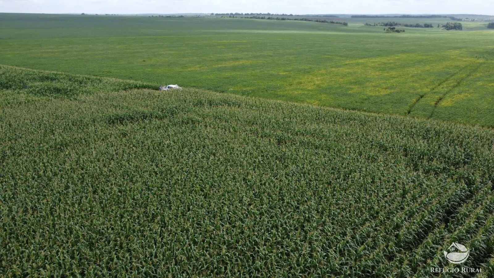 Fazenda à venda de 3.204 ha em Araguaína, TO, Brasil