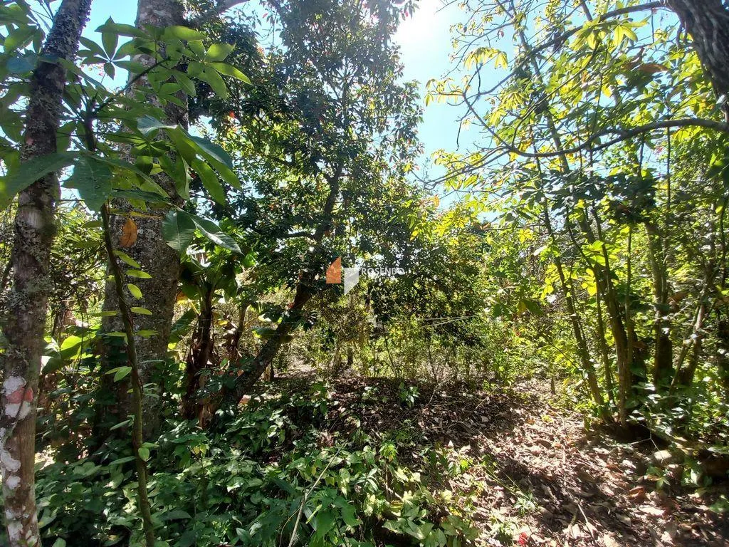 Chácara à venda de 2 ha em Biritiba-Mirim, SP, Brasil