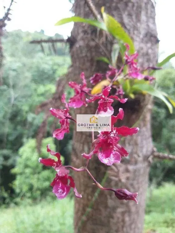 Sítio à venda de 9 ha em Santo Antônio do Pinhal, SP, Brasil
