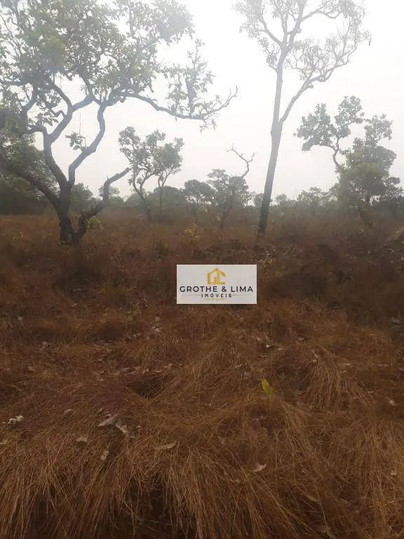 Fazenda à venda de 12.971 ha em Lagoa da Confusão, TO, Brasil