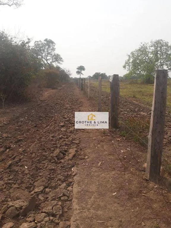 Fazenda à venda de 12.971 ha em Lagoa da Confusão, TO, Brasil