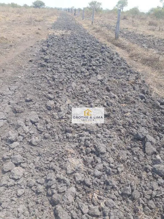 Fazenda à venda de 12.971 ha em Lagoa da Confusão, TO, Brasil