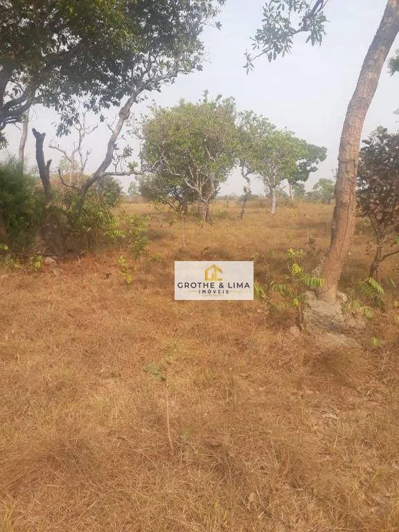 Fazenda à venda de 12.971 ha em Lagoa da Confusão, TO, Brasil