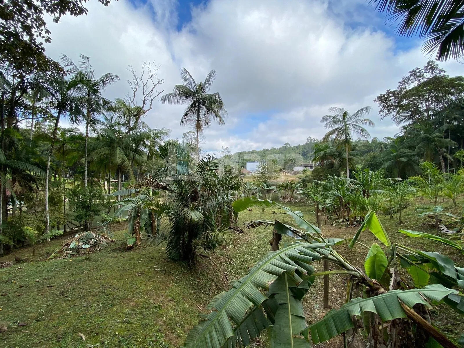 Terreno à venda de 9.110 m² em Guabiruba, SC, Brasil