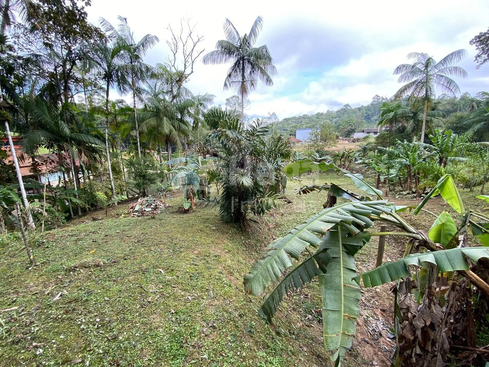 Terreno à venda de 9.110 m² em Guabiruba, SC, Brasil