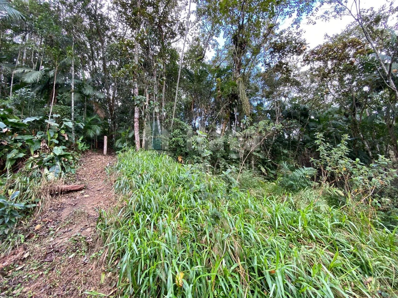 Terreno à venda de 9.110 m² em Guabiruba, SC, Brasil