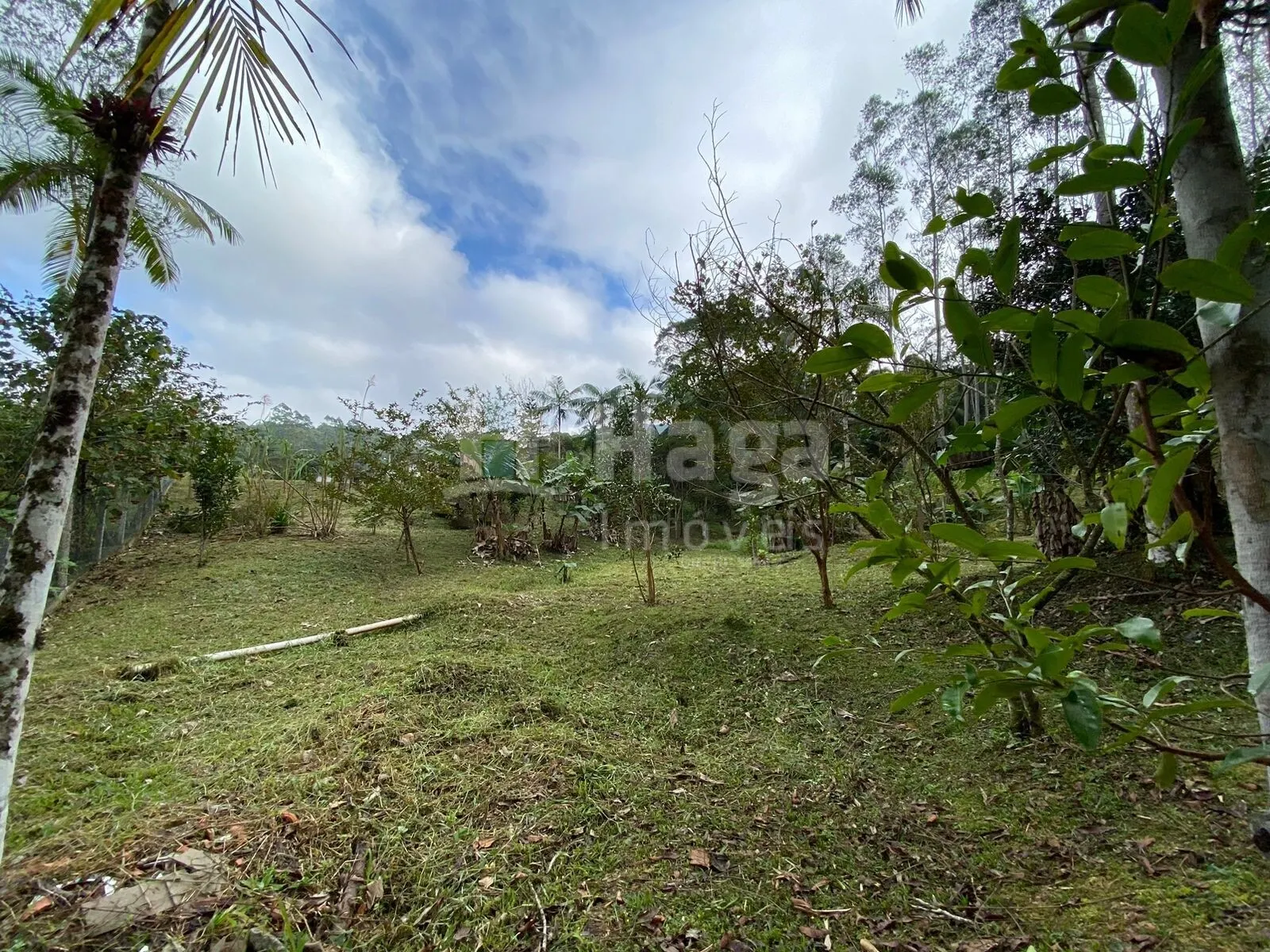Terreno à venda de 9.110 m² em Guabiruba, SC, Brasil