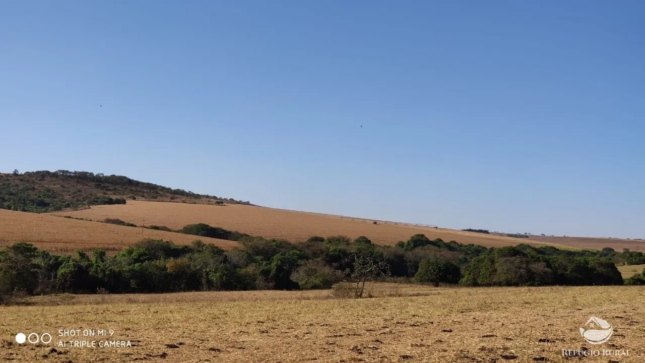 Fazenda à venda de 1.960 ha em Campo Alegre de Goiás, GO, Brasil