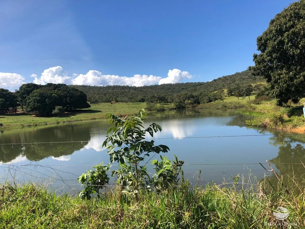 Fazenda à venda de 1.960 ha em Campo Alegre de Goiás, GO, Brasil