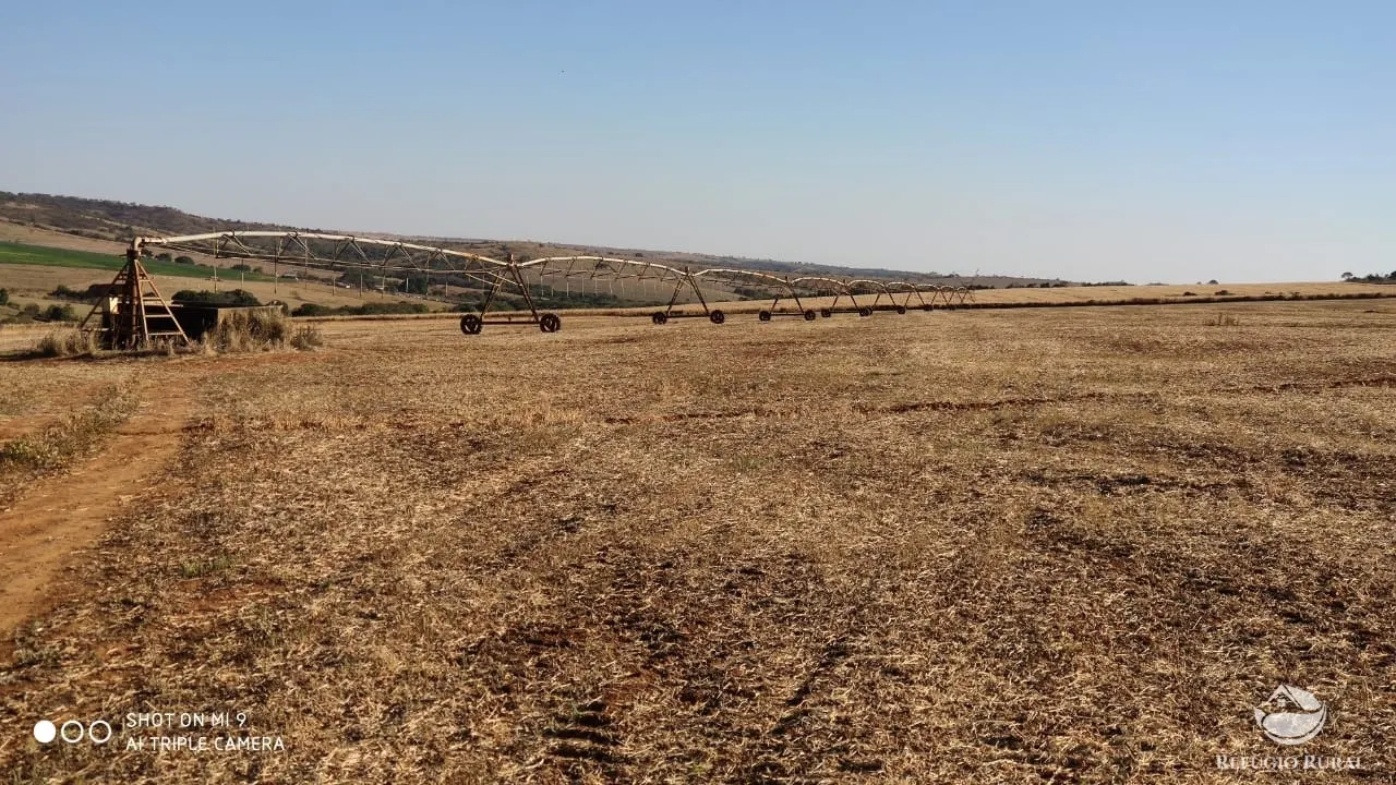 Fazenda à venda de 1.960 ha em Campo Alegre de Goiás, GO, Brasil