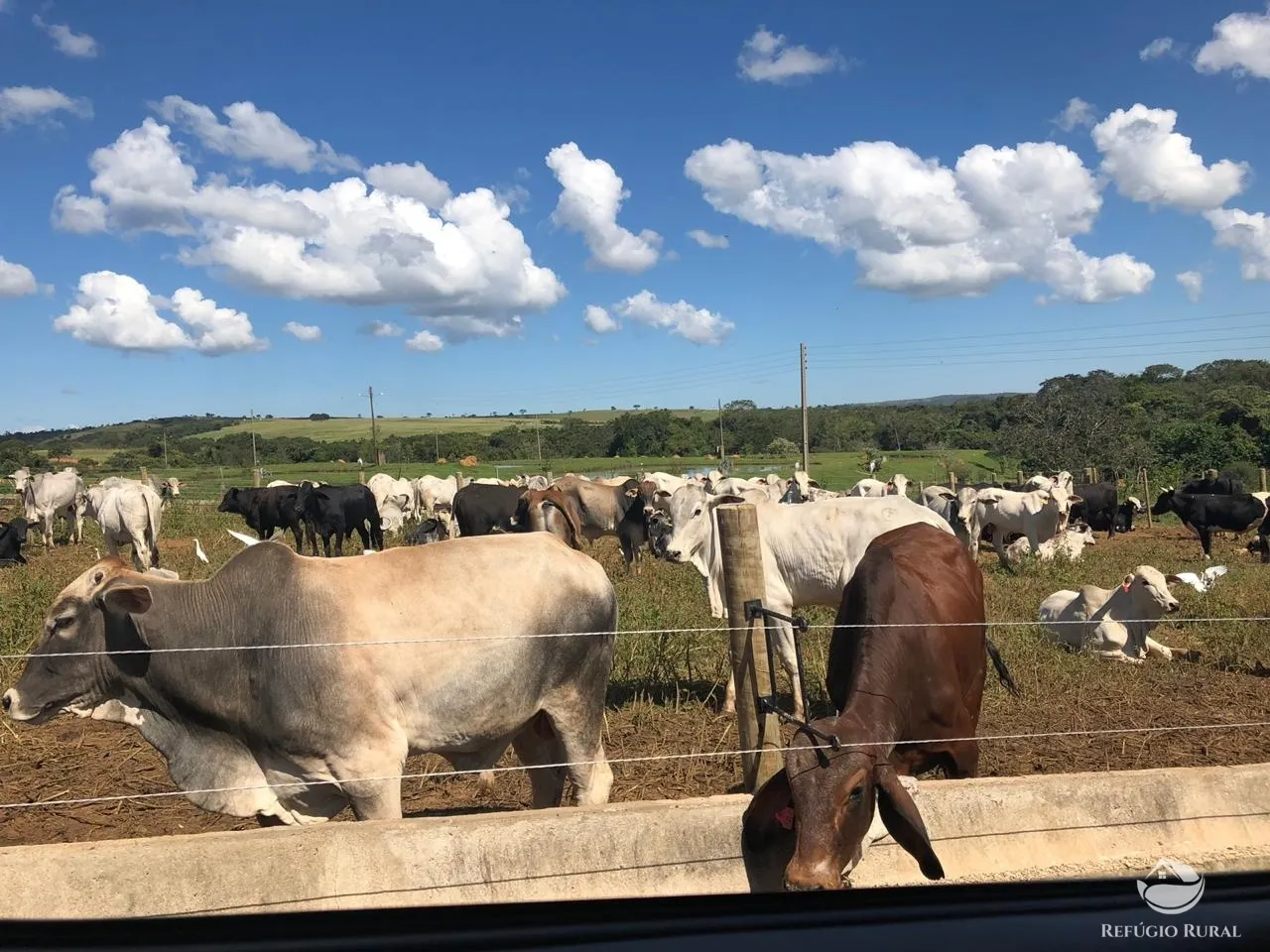 Fazenda à venda de 1.960 ha em Campo Alegre de Goiás, GO, Brasil