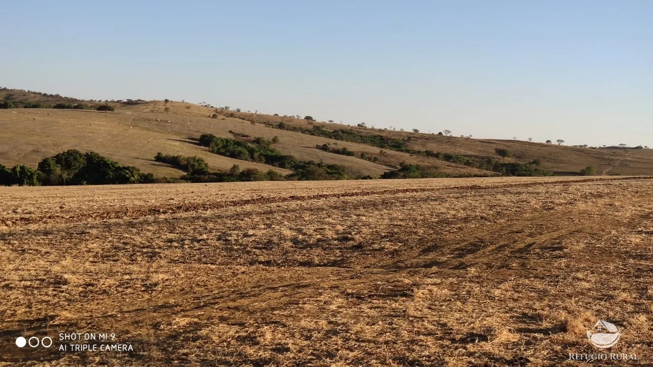Fazenda à venda de 1.960 ha em Campo Alegre de Goiás, GO, Brasil