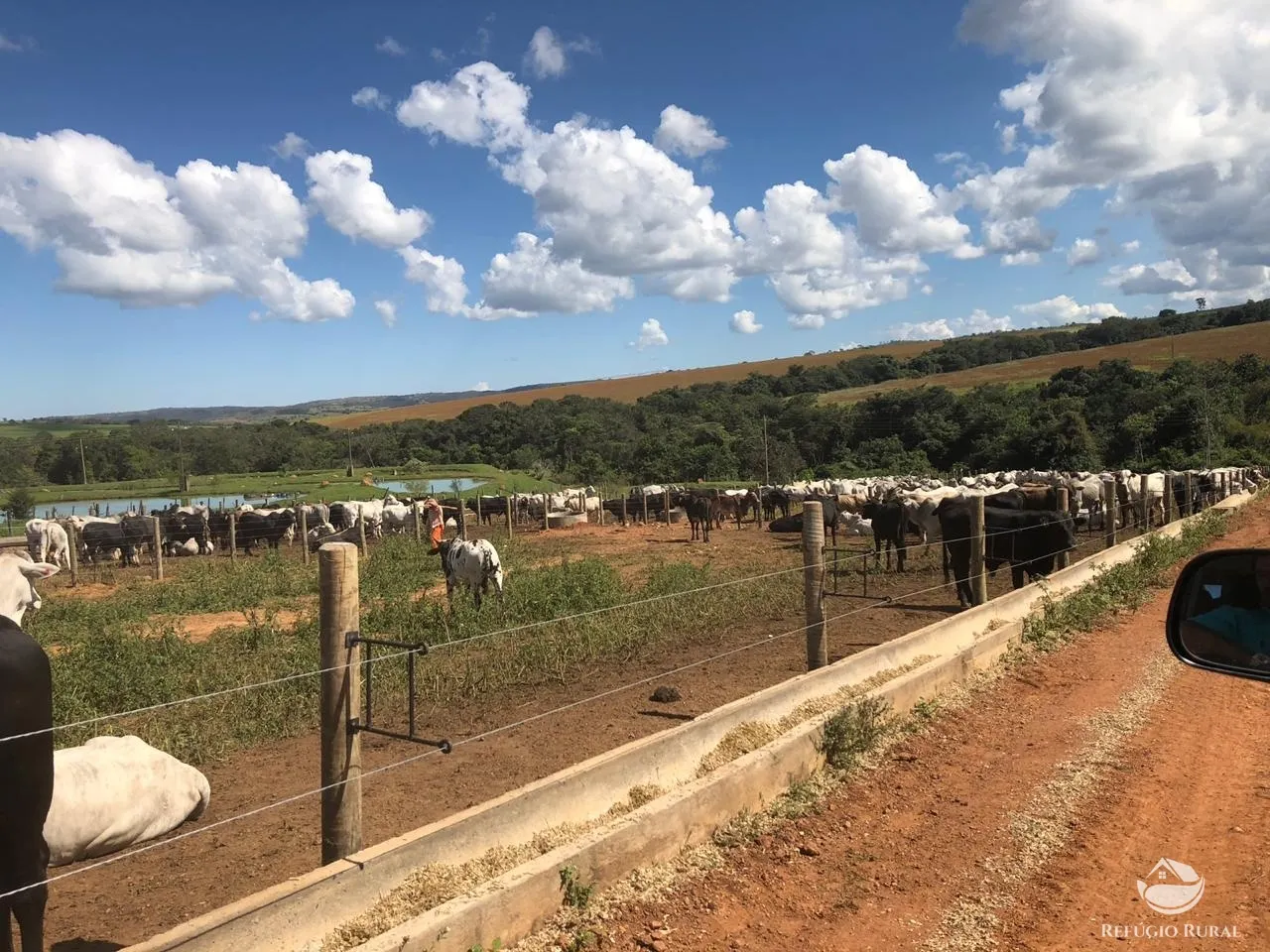 Fazenda à venda de 1.960 ha em Campo Alegre de Goiás, GO, Brasil