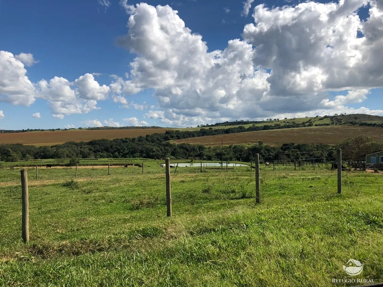 Fazenda à venda de 1.960 ha em Campo Alegre de Goiás, GO, Brasil