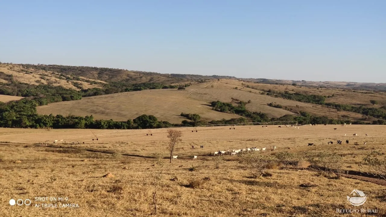 Fazenda à venda de 1.960 ha em Campo Alegre de Goiás, GO, Brasil