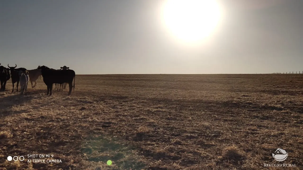 Fazenda à venda de 1.960 ha em Campo Alegre de Goiás, GO, Brasil
