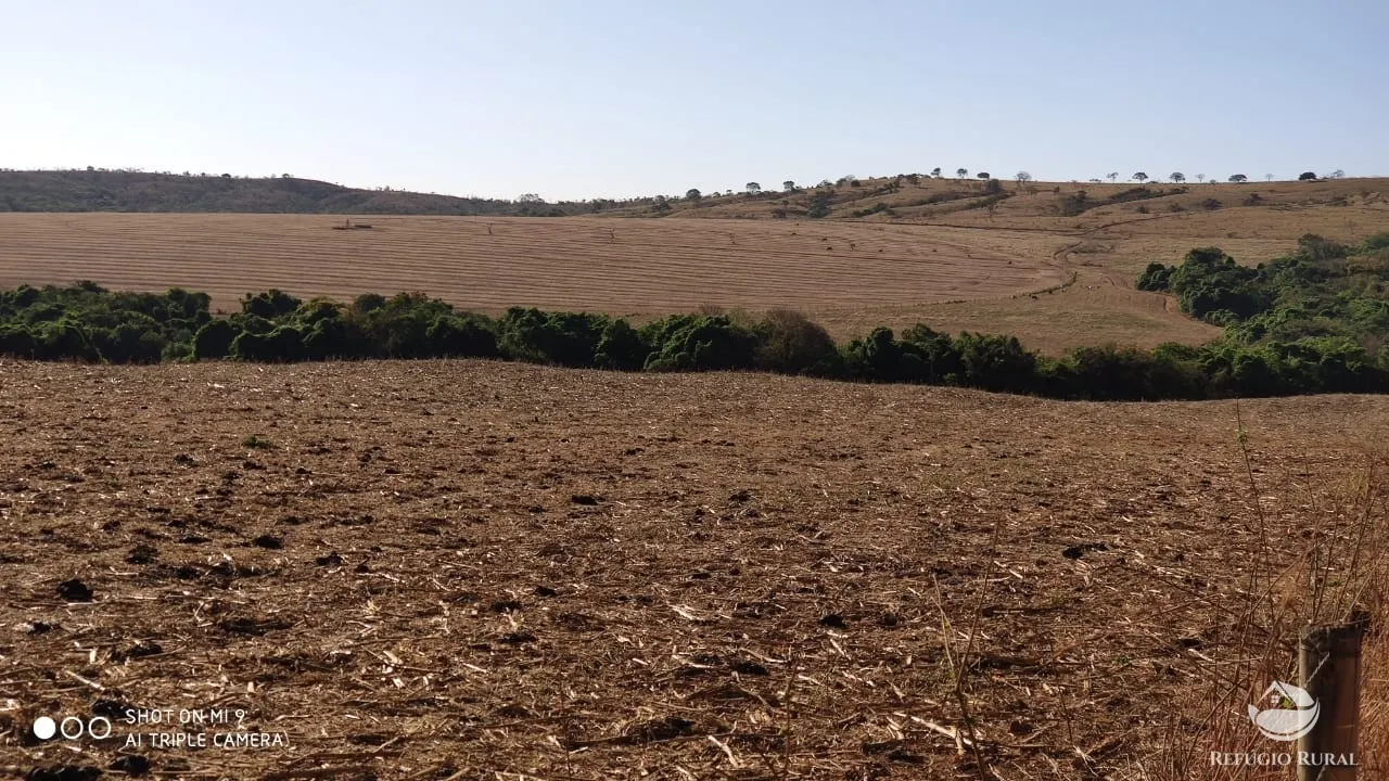 Fazenda à venda de 1.960 ha em Campo Alegre de Goiás, GO, Brasil