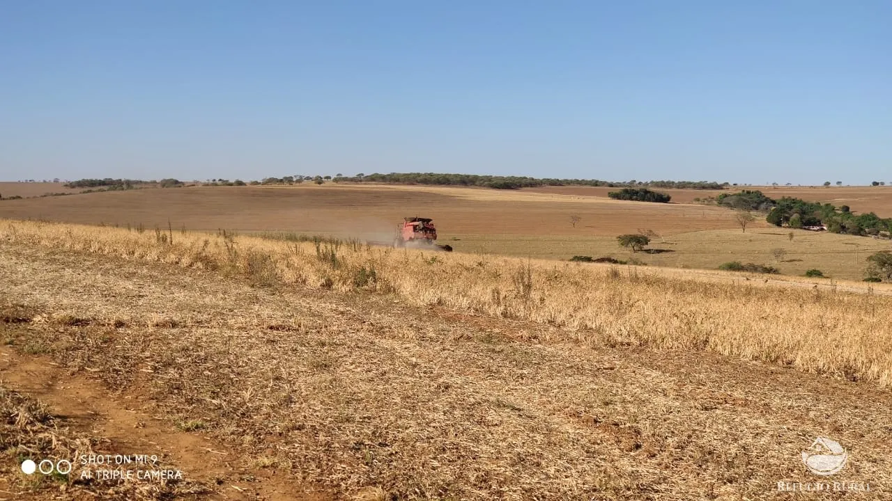Fazenda à venda de 1.960 ha em Campo Alegre de Goiás, GO, Brasil