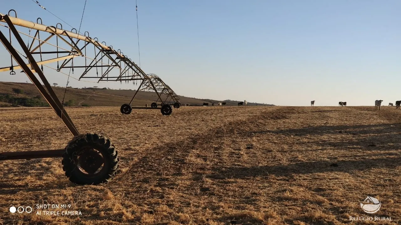 Fazenda à venda de 1.960 ha em Campo Alegre de Goiás, GO, Brasil