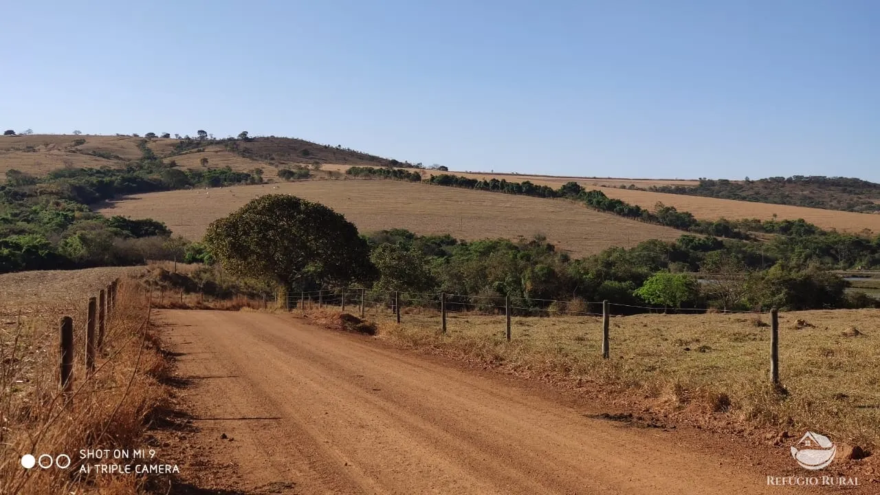 Fazenda à venda de 1.960 ha em Campo Alegre de Goiás, GO, Brasil