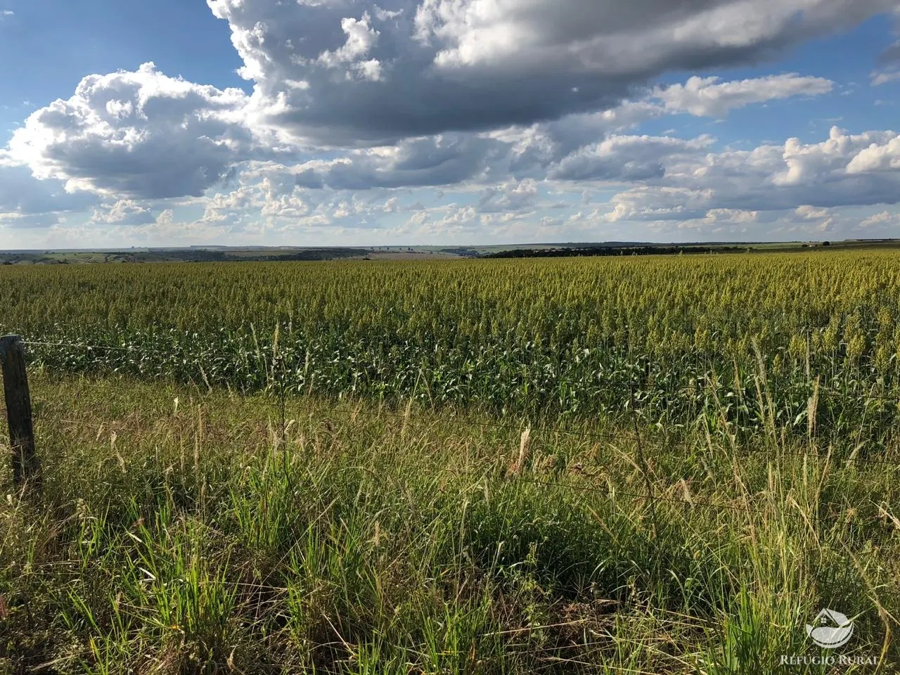Fazenda à venda de 1.960 ha em Campo Alegre de Goiás, GO, Brasil