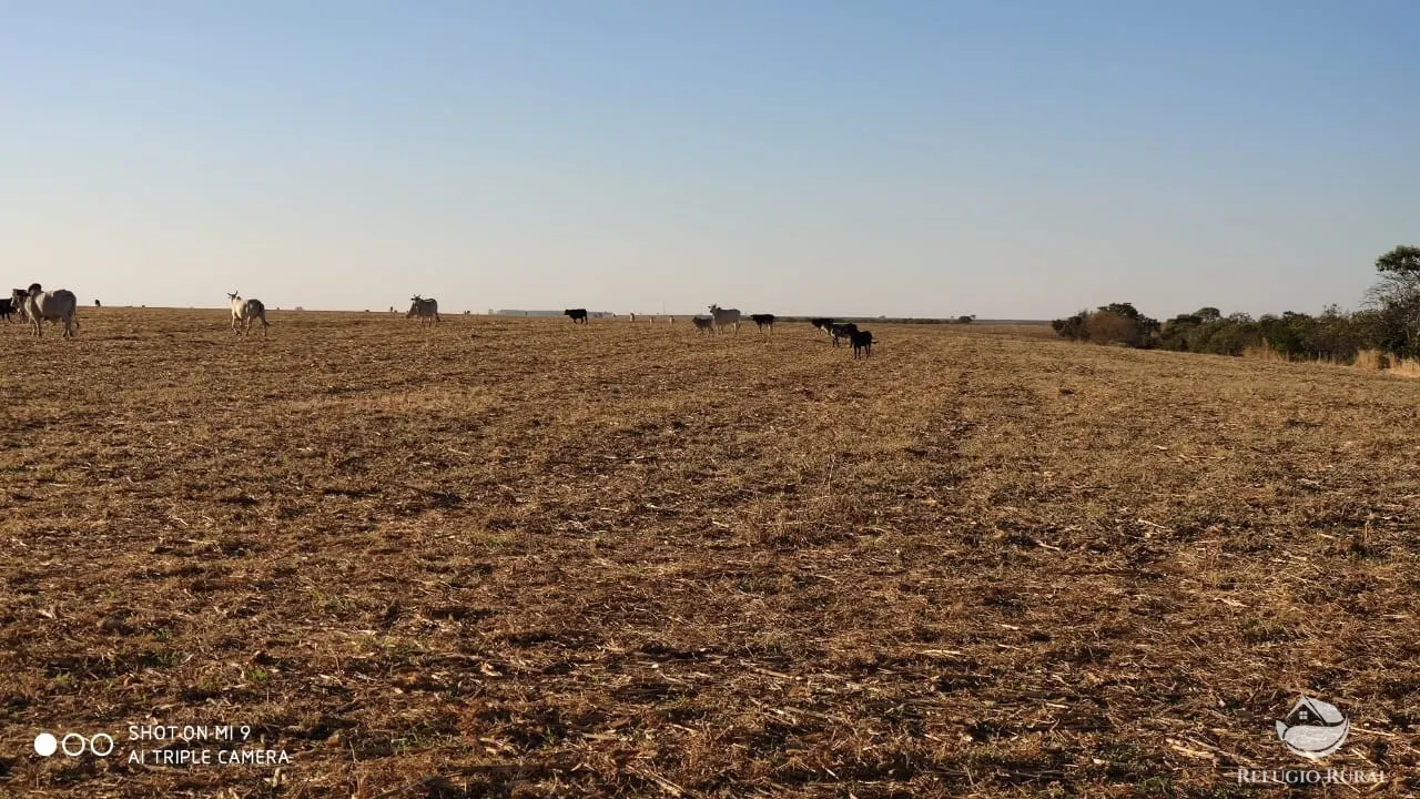 Fazenda à venda de 1.960 ha em Campo Alegre de Goiás, GO, Brasil