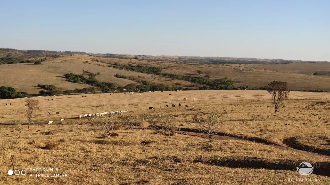 Fazenda à venda de 1.960 ha em Campo Alegre de Goiás, GO, Brasil
