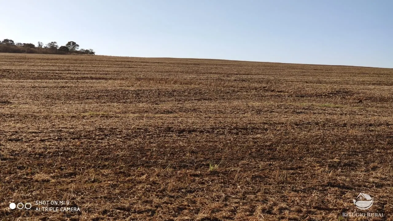 Fazenda à venda de 1.960 ha em Campo Alegre de Goiás, GO, Brasil