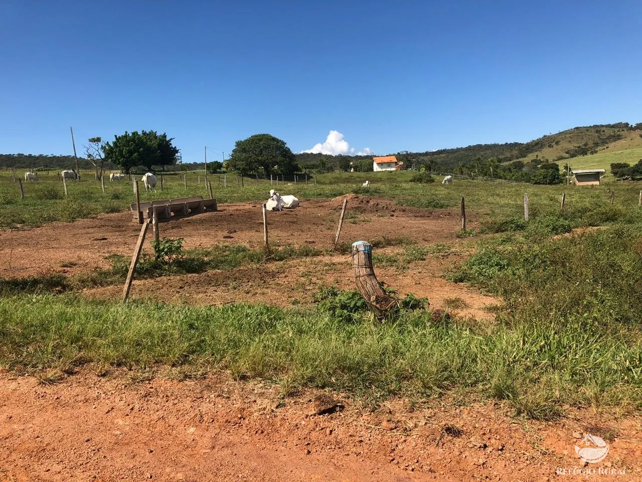 Fazenda à venda de 1.960 ha em Campo Alegre de Goiás, GO, Brasil