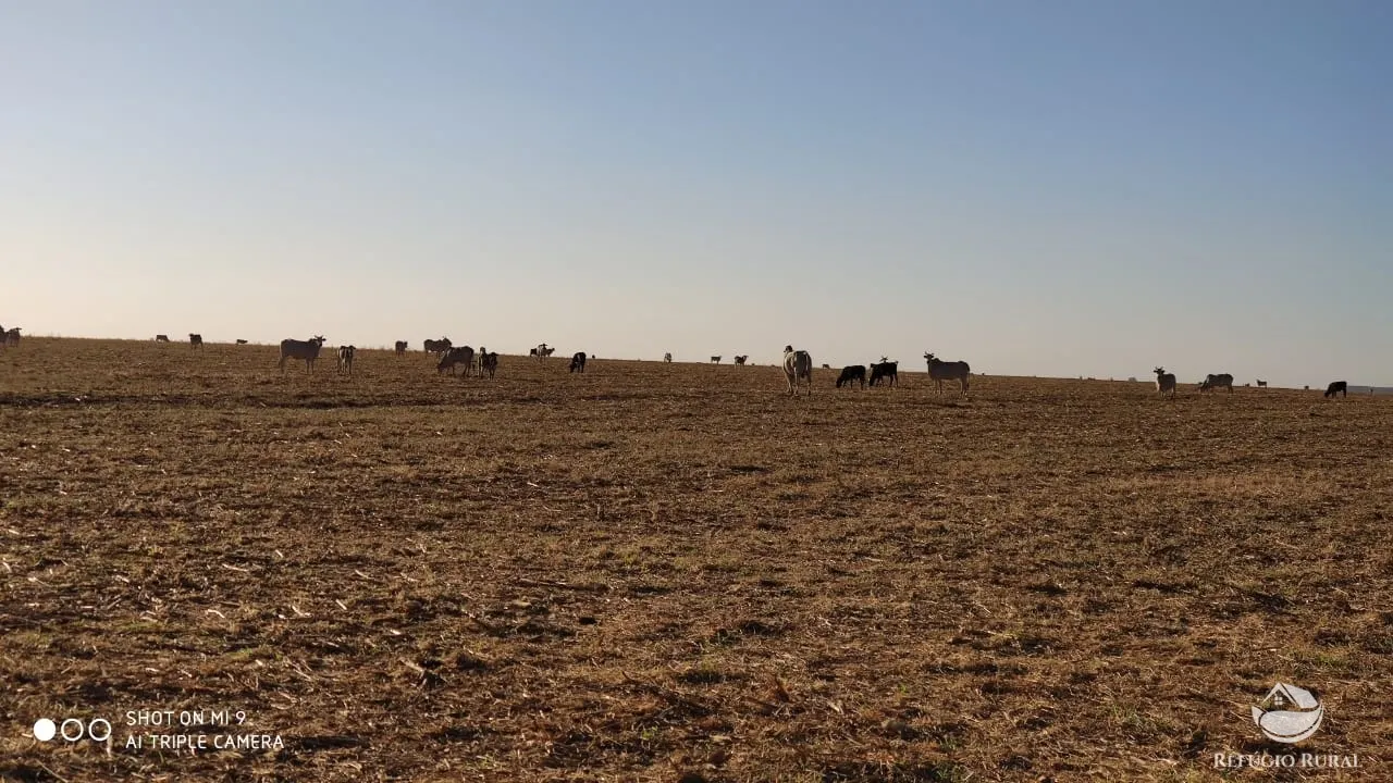 Fazenda à venda de 1.960 ha em Campo Alegre de Goiás, GO, Brasil