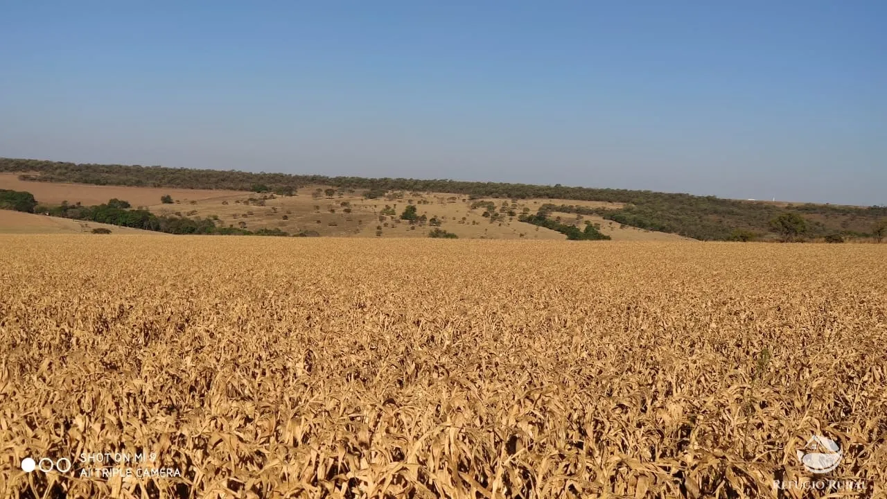 Fazenda à venda de 1.960 ha em Campo Alegre de Goiás, GO, Brasil