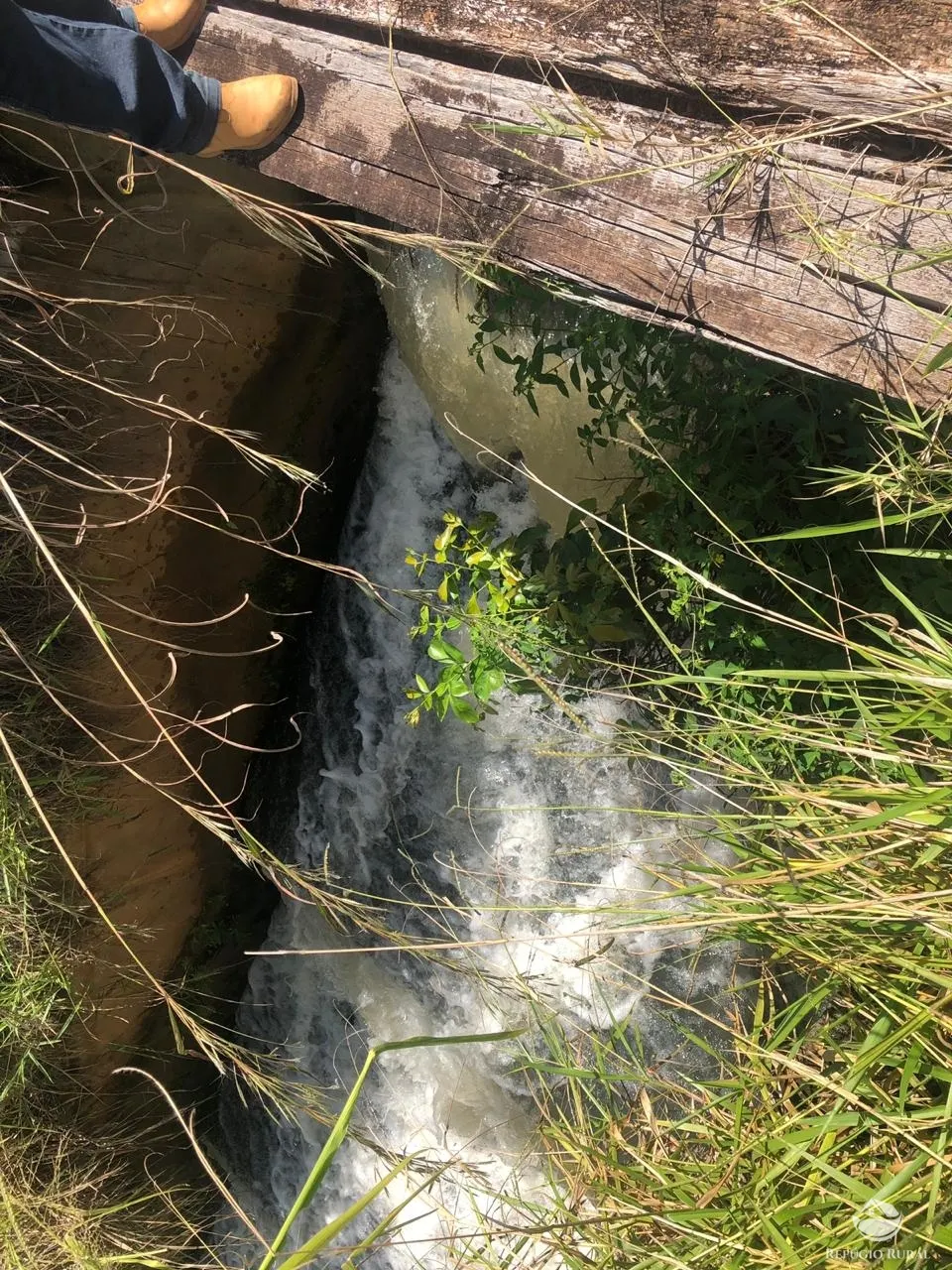 Fazenda à venda de 1.960 ha em Campo Alegre de Goiás, GO, Brasil