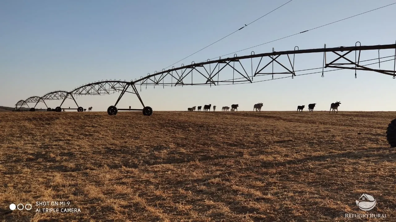 Fazenda à venda de 1.960 ha em Campo Alegre de Goiás, GO, Brasil