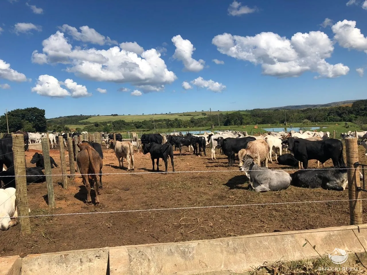 Fazenda à venda de 1.960 ha em Campo Alegre de Goiás, GO, Brasil