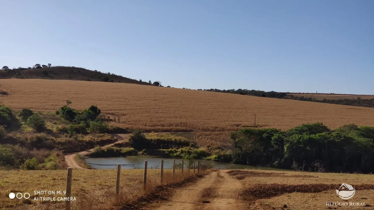 Fazenda à venda de 1.960 ha em Campo Alegre de Goiás, GO, Brasil