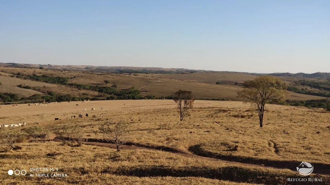 Fazenda à venda de 1.960 ha em Campo Alegre de Goiás, GO, Brasil