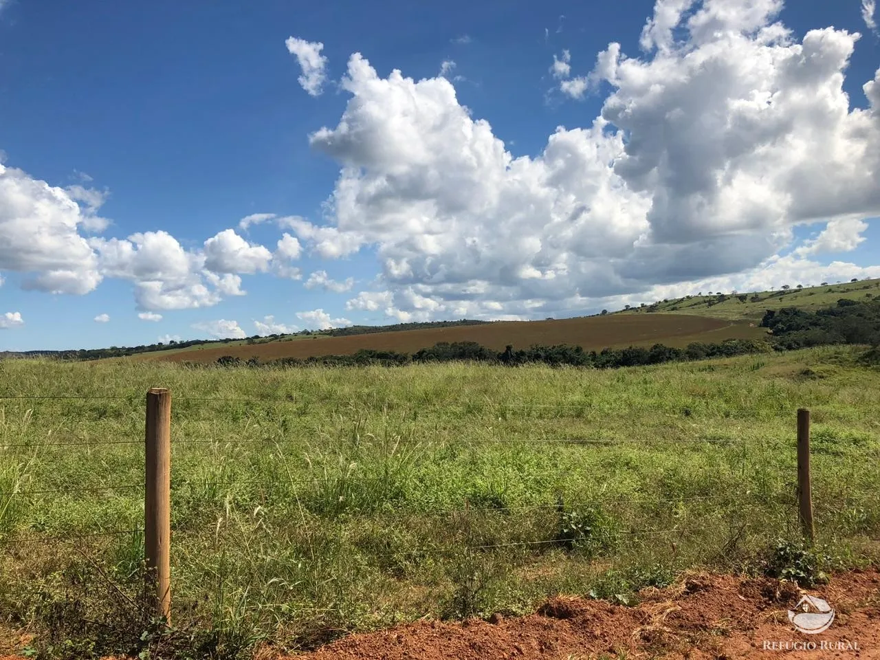 Fazenda à venda de 1.960 ha em Campo Alegre de Goiás, GO, Brasil