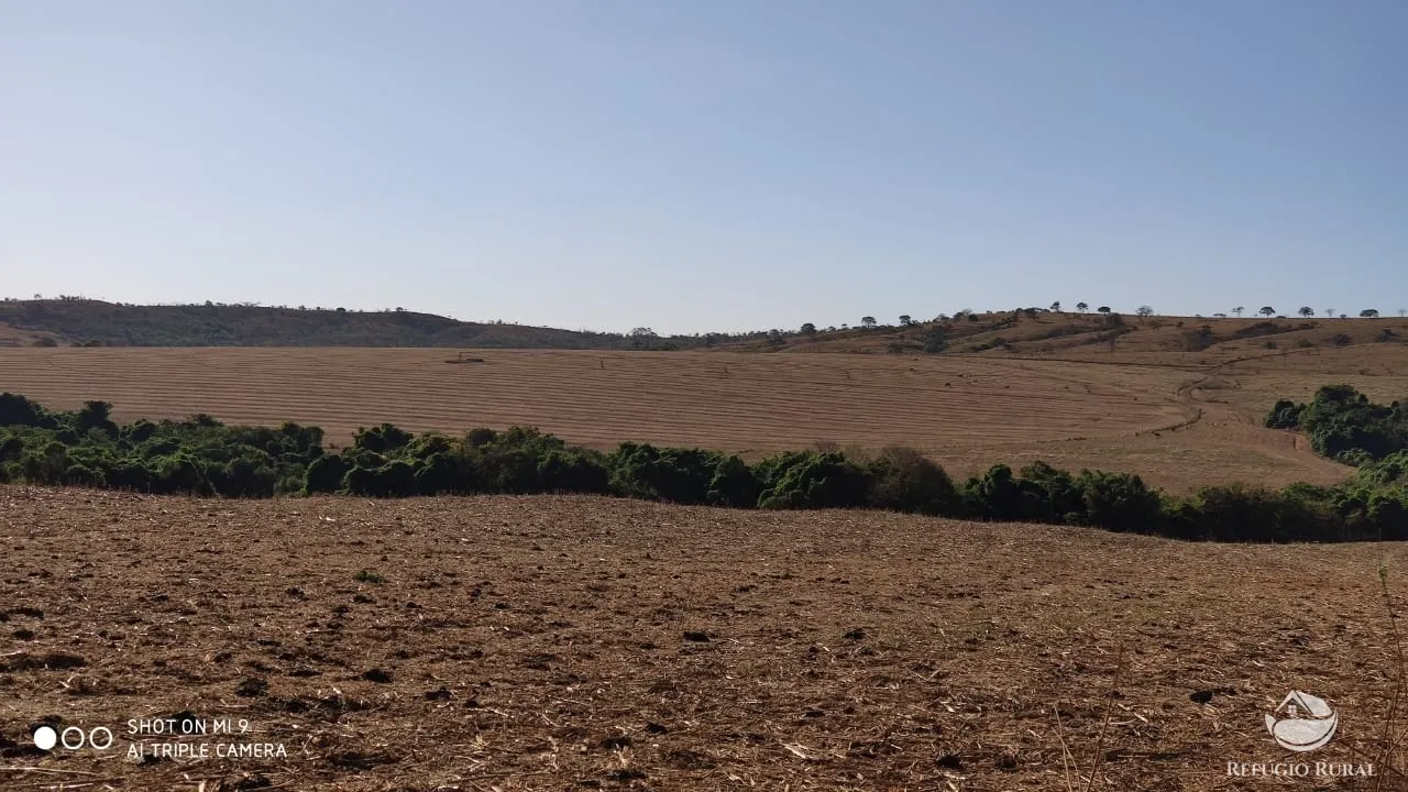 Fazenda à venda de 1.960 ha em Campo Alegre de Goiás, GO, Brasil
