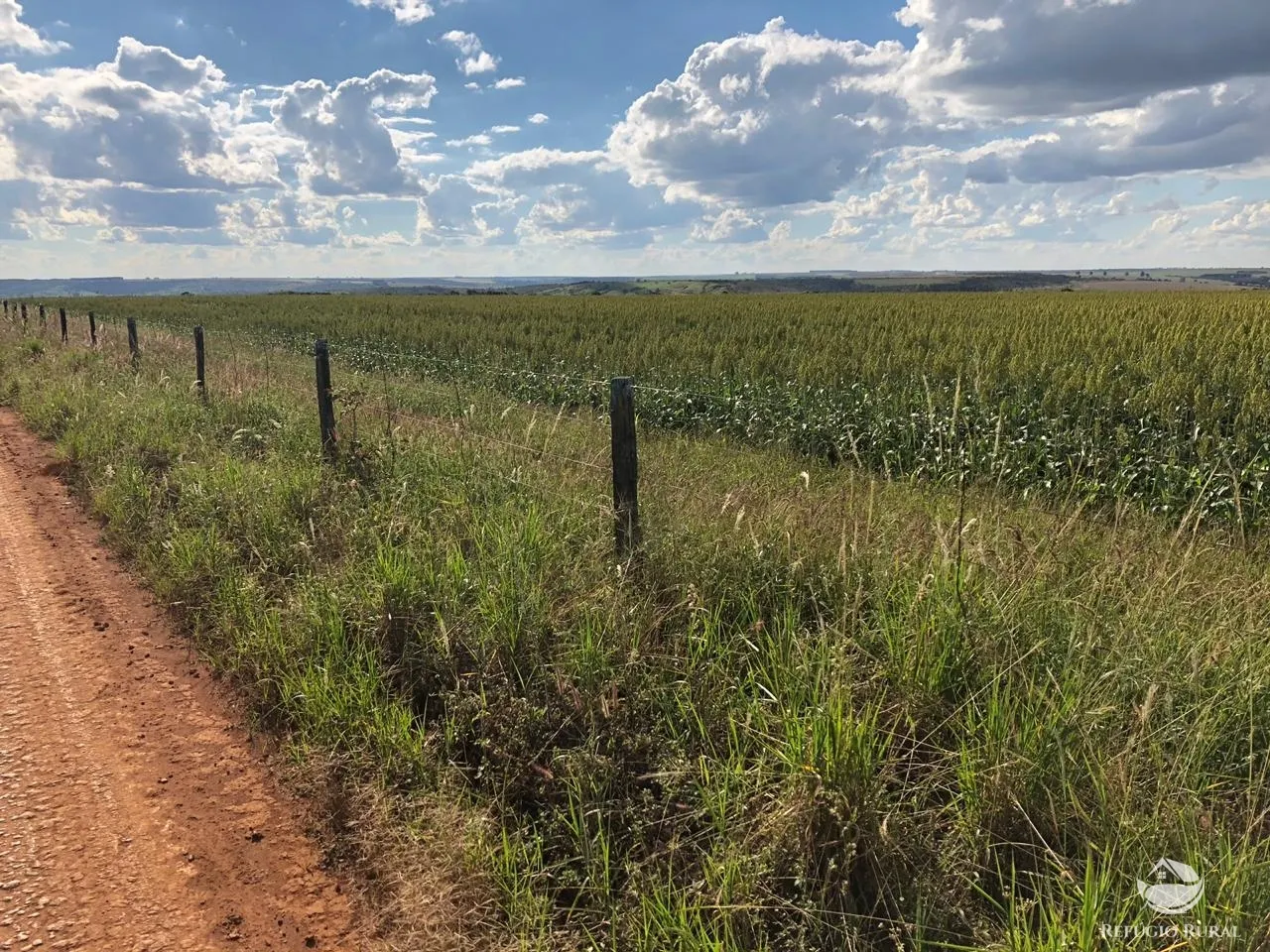 Fazenda à venda de 1.960 ha em Campo Alegre de Goiás, GO, Brasil