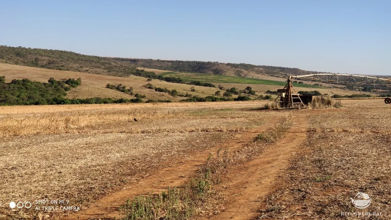 Fazenda à venda de 1.960 ha em Campo Alegre de Goiás, GO, Brasil